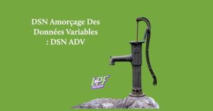 DSN ADV DSN Amorçage Des Données Variables