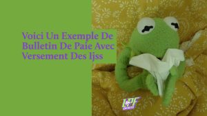 Exemple De Bulletin De Paie Avec Versement Des Ijss