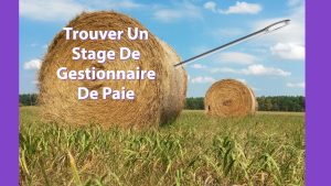 Trouver un stage de gestionnaire de paie vous offre la possibilité de voir de près et de réaliser pour de vrai des tâches confiées aux gestionnaires de paie en poste. Le stage vous permet d’avoir une vision globale avant de devenir gestionnaire de paie mais pas que… Pourquoi trouver un stage Certains diront qu’il vous faut trouver un stage parce que c’est obligatoire pour réussir la formation gestionnaire de paie. C’est une raison et c’est même la raison principale cependant c’est réducteur. Trouver un stage en paie permet : De réaliser un dossier professionnel. Le dossier professionnel est un document obligatoire pour valider le TP gestionnaire de paie. Pour remplir le DP, vous devez pratiquer car c’est votre expérience qui est jugée. De ce fait, pour pratiquer, vous devez faire un stage. Le stage est une opportunité pour vous d’apprendre de nouvelles notions de paie. En formation, vous allez surtout voir la théorie. En stage vous aurez peut être l’opportunité d’utiliser un vrai logiciel de paie et de faire des DSN ( Déclarations Sociales Nominatives) Mais le plus gros des avantages, c’est qu’un stage peut être une période d’essai avant de trouver un premier poste. Qui sait si vous faites bien les paies pendant votre stage, vous aurez au mieux une proposition d’emploi et au pire une lettre de recommandation. Le truc pour obtenir ces résultats c’est qu’il vous faut trouver le bon stage. Je vous explique. Quel genre de stage rechercher La problématique quand on cherche un stage en paie consiste dans un premier temps à savoir ce que l’on cherche exactement. Vous devez réfléchir à votre vision du métier de gestionnaire de paie avant de réfléchir aux méthodes pour trouver le dit stage. Concrètement, vous devez chercher un stage en paie, c’est logique mais cela a son importance car vous avez plusieurs entreprises pour faire votre stage. L’entreprise et son service de ressources humaines Le cabinet d’expertise-comptable Pour choisir entre les deux structures, je dirais que : Si votre truc c’est plutôt la paie et les chiffres, allez en cabinet comptable. Par contre, si vous êtes plus RH et Administration du Personnel, alors visez l’entreprise. Notez toutefois que pour un débutant gestionnaire de paie, il vaut mieux passer du cabinet comptable au service RH. Mais c’est un autre sujet. Comment trouver un stage Pour trouver un stage, vous pouvez, dans un premier temps, contacter les personnes qui ont répondu à vos enquêtes métier. Si c’est quelque chose que vous avez zappé ou bâclé : vous vous êtes tiré une balle dans le pied. Dans un second temps, vous pouvez regarder les offres d’emploi de gestionnaire de paie et postuler tout simplement. Il vous faudra un CV à jour et une vraie lettre de motivation, bref postulez avec un dossier de candidature en bonne et due forme. En dernière instance, n’hésitez pas à vous rendre directement dans les entreprises de votre secteur géographique pour postuler. Ne croyez surtout que parce que vous avez fait 200 mails, que vous n’avez pas de réponses que c’est terminé. L’envoi d’e-mail c’est que tout le monde fait et si vous suivez la méthode de tout le monde, vous obtiendrez les mêmes résultats que tout le monde : pas de stage. Et si vous ne trouvez pas de stage Si vous n’avez pas de stage, ce n’est pas la fin du parcours de votre formation gestionnaire. Vous pouvez toujours faire un DP sans stage. Mais si vous avez déjà des problèmes à trouver un stage, vous allez vraiment avoir des difficultés à trouver votre premier poste de gestionnaire de paie.