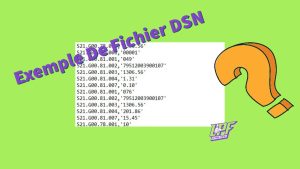 Exemple de fichier DSN