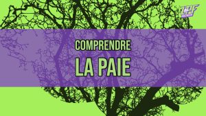 comprendre la paie