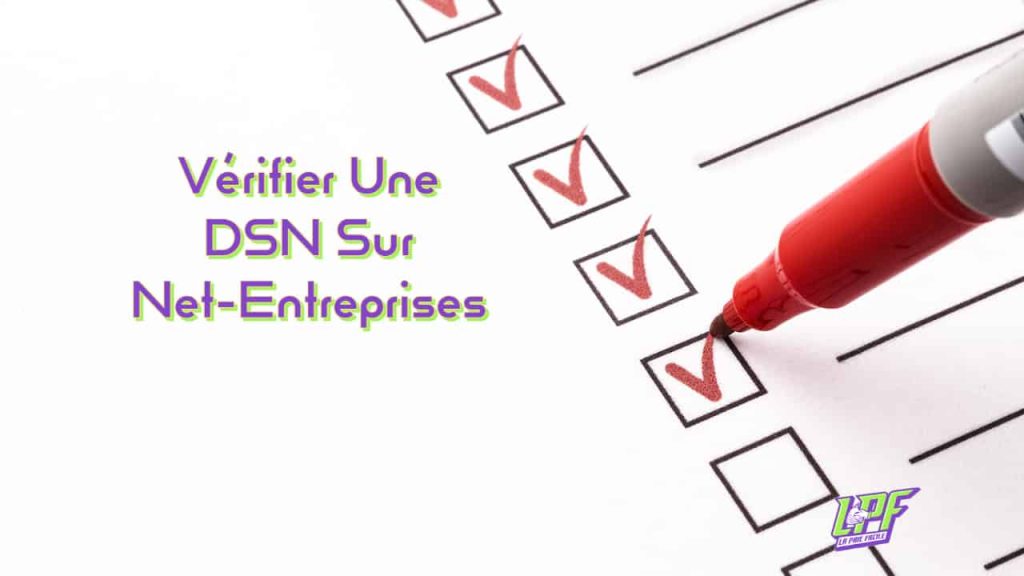 Vérifier Une Dsn Sur Net-Entreprises